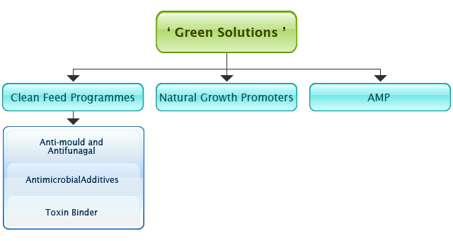 Green Solutions